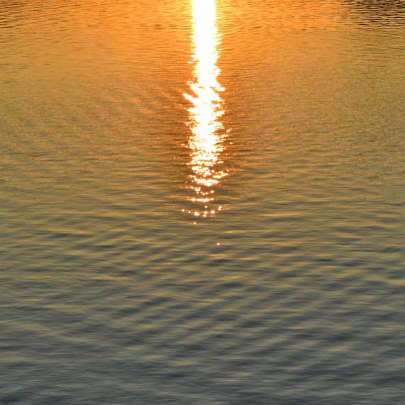 sun reflecting on water